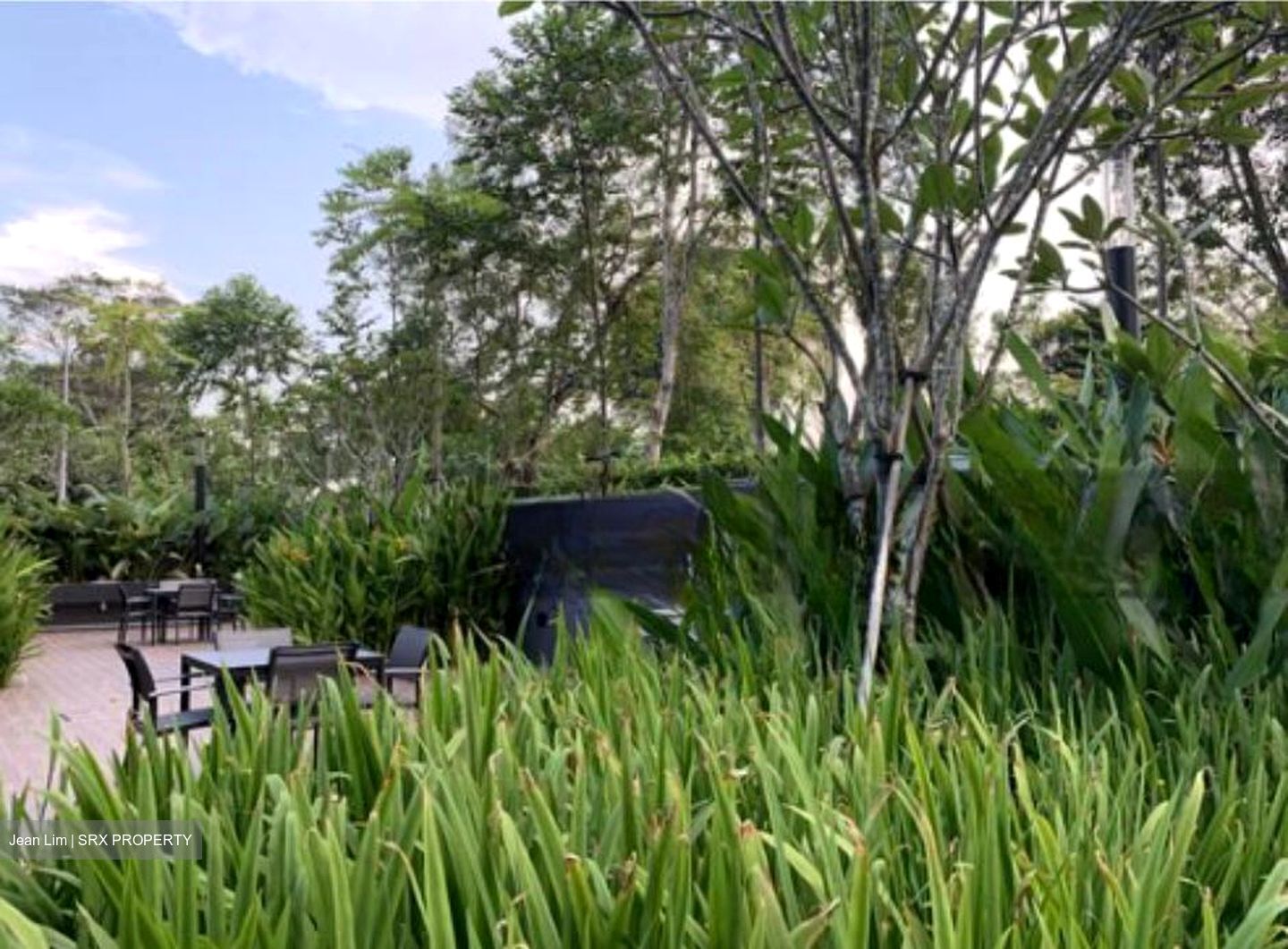 Thomson Impressions (D20), Apartment #490203381